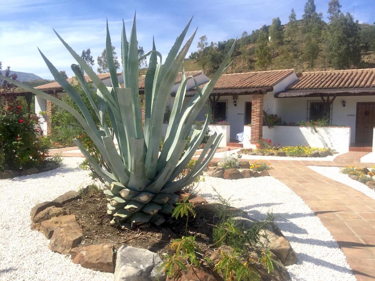Boutique Cortijo Valverde * Álora
