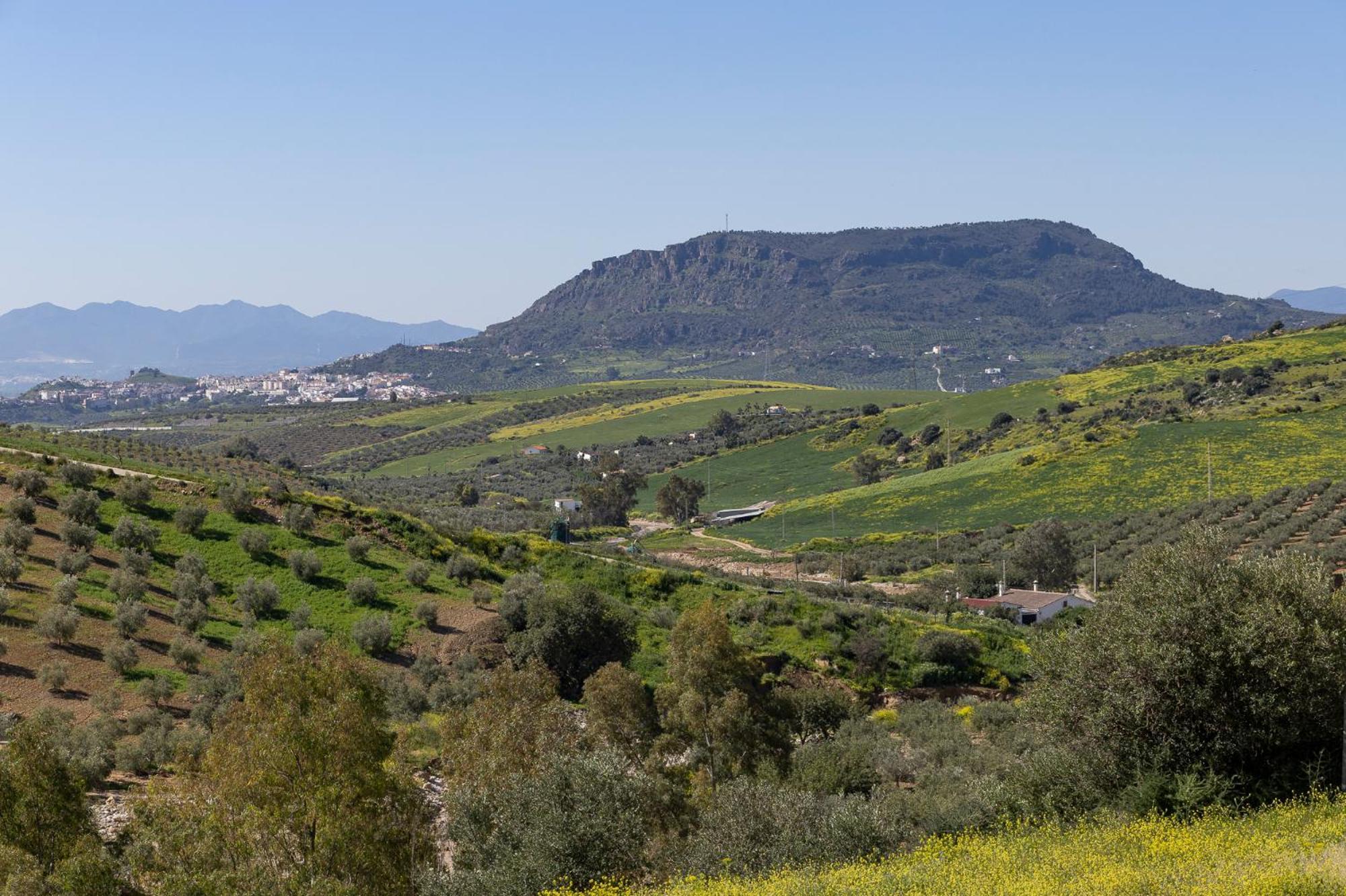 Boutique Cortijo Valverde Nocleg ze śniadaniem *