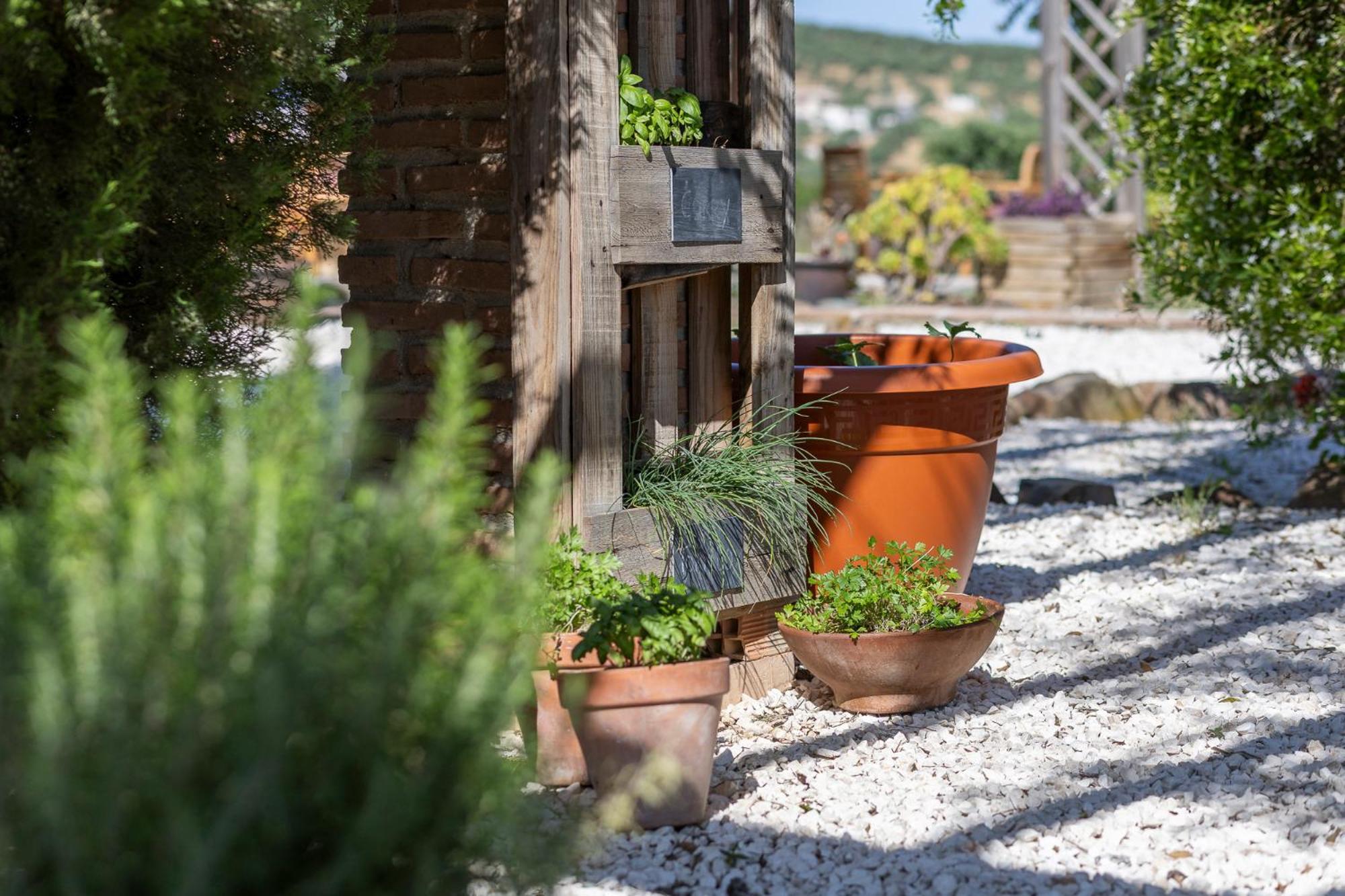 Boutique Cortijo Valverde * Alora