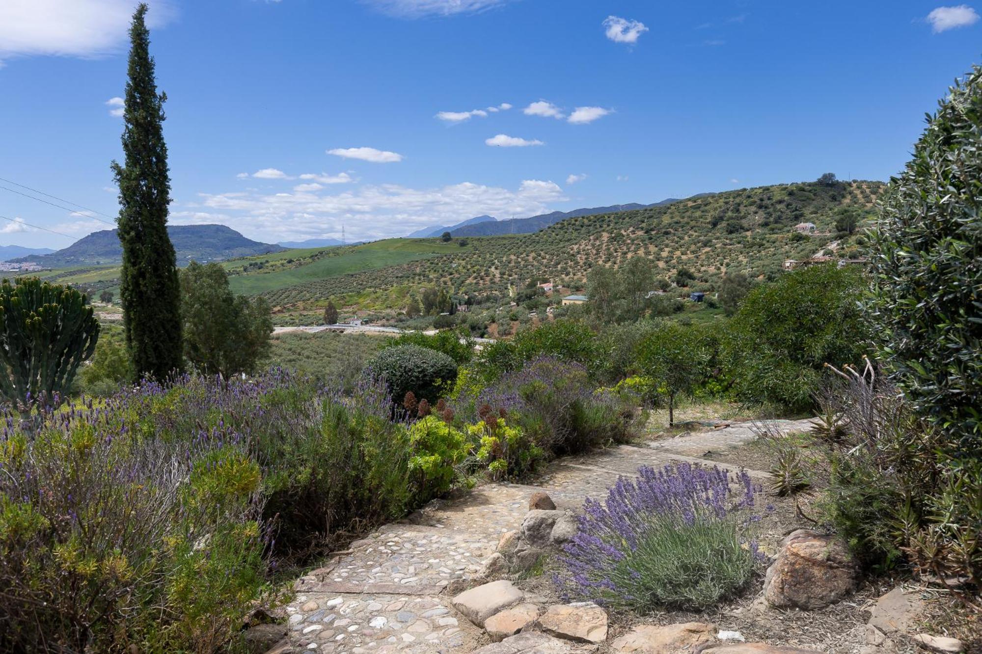 Bed and breakfast Cortijo Valverde *