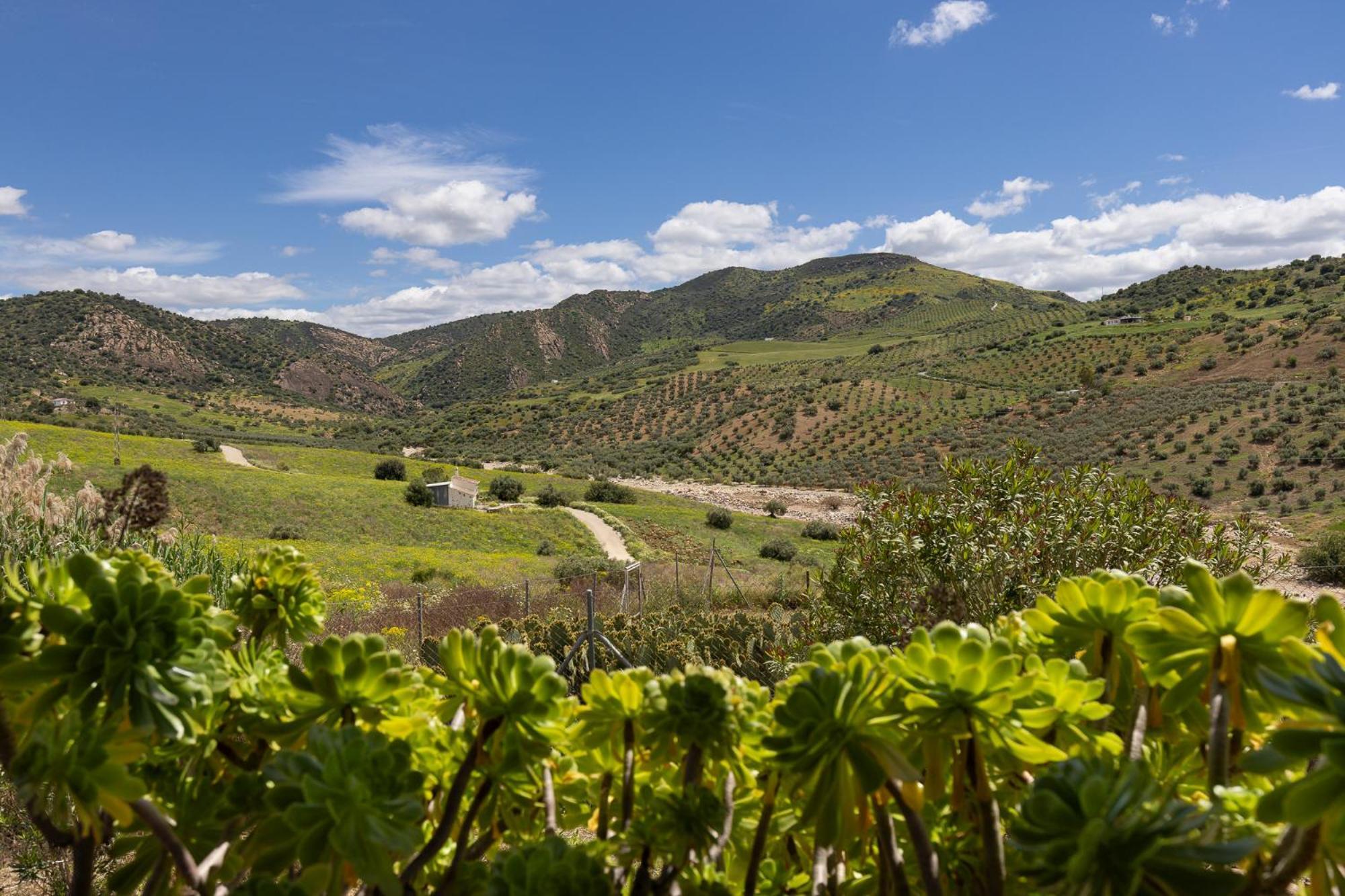 Cortijo Valverde Álora